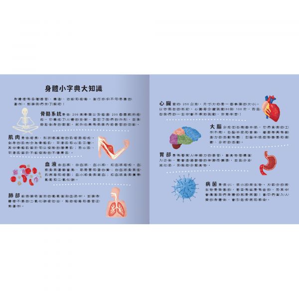 登登登！透光Show 照照人體X光